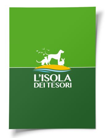 Volantino interattivo